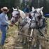 A Trek to the Western Mountains